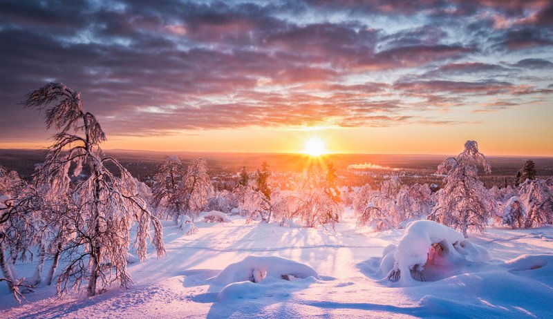 Open-House-Finland.jpg
